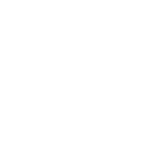 IN OMNIA LUX